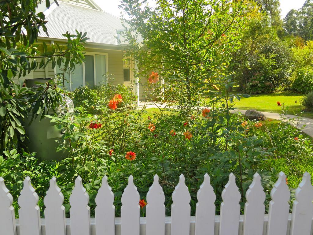 Amelina Cottages Marysville Bagian luar foto